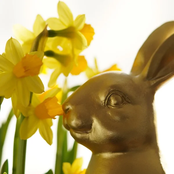 凤凰娱乐棋牌游戏